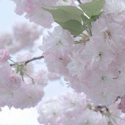 哈尔滨FurryQQ群介绍